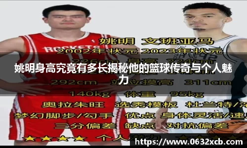 姚明身高究竟有多长揭秘他的篮球传奇与个人魅力